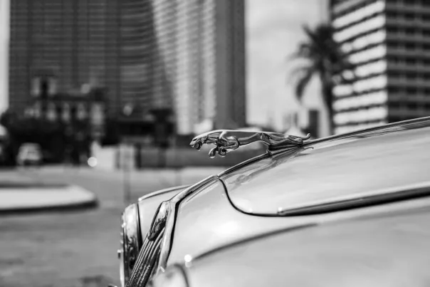 Wallacebet Kasino Android/iOS-app